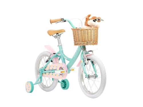 Upgrade Your Kid's Ride: Enjoy 20% Off on Raleigh Molli 16" Bike!