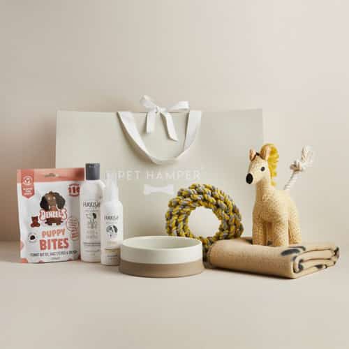 WIN this Luxury Dog Hamper