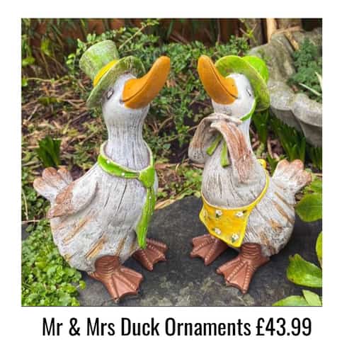 Mr & Mrs Duck Ornaments Β£43.99