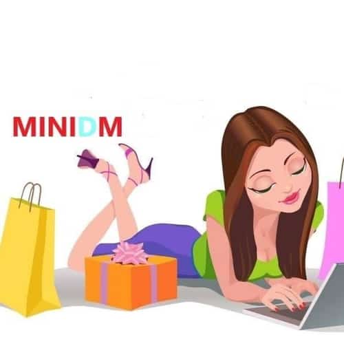 MiniDM Store TeamMate