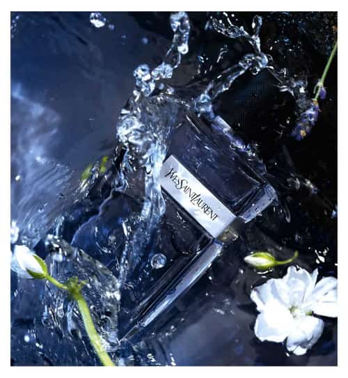 Scentsational Deals β Save Up to 25% on Selected Fragrance! Shop Today!