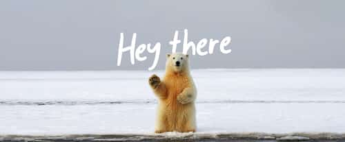 Message from Nature and Wildlife Sustainable Clothing
