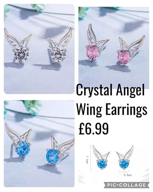 Crystal Angel Wing Earrings Β£6.99