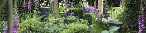 Experience the Blooming Beauty β The RHS Chelsea Flower Show! Get Your Tickets Now!