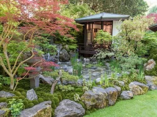 Save Β£50 Per Person β RHS Chelsea Flower Show 2025! πΈποΈ