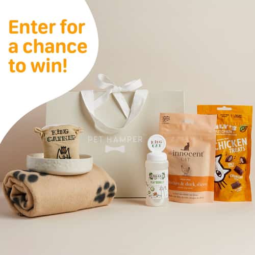 WIN this Luxury Original Cat Hamper