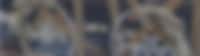 Header Image for promo