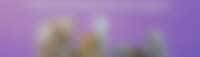 Header Image for promo
