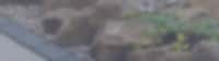 Header Image for deal
