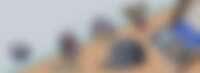 Header Image for promo