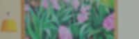 Header Image for promo