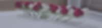 Header Image for promo