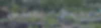 Header Image for promo