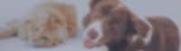 Header Image for deal