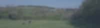 Header Image for event