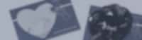 Header Image for promo
