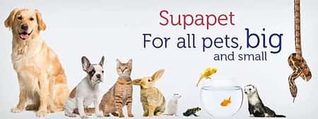 Our range of small animal products covers; hamsters, gerbils, mice, rats, chinchillas, degus + more