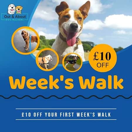 £10 OFF your first week's walk
