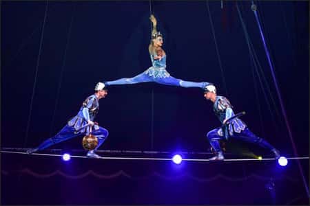 Gostinitsa - Hotel of curiosities:  Moscow State Circus 2018