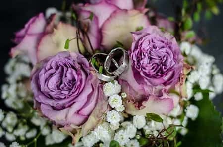 Edward Lewis Wedding Fayre The Park Inn York