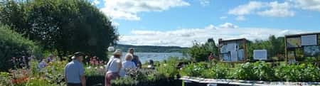 Carsington Water Wonderful Plant Fairs