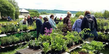 Carsington Water Wonderful Plant Fairs