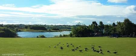 Carsington Water Wonderful Plant Fairs