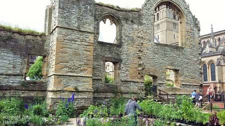 Southwell Minster Gardens