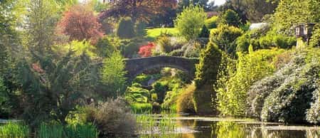 Consall Gardens