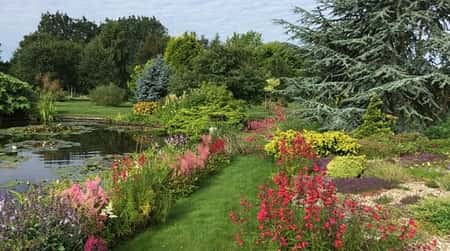 Pottertons Nursery & Garden