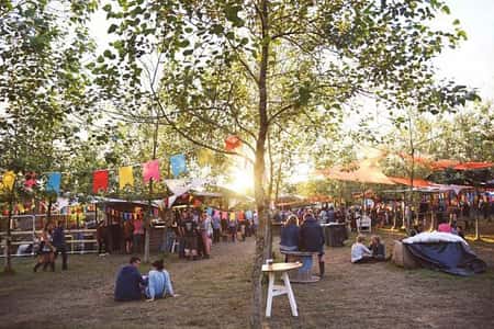 Leopallooza