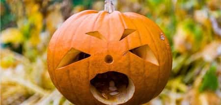 Half-term Halloween hoot