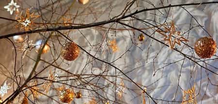Christmas Twilight Evenings