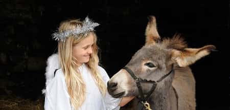 Christmas Nativity