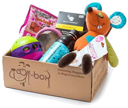 Looking for the perfect gift or one off treat for your furry friend? Try WOOF BOX: £24.99!