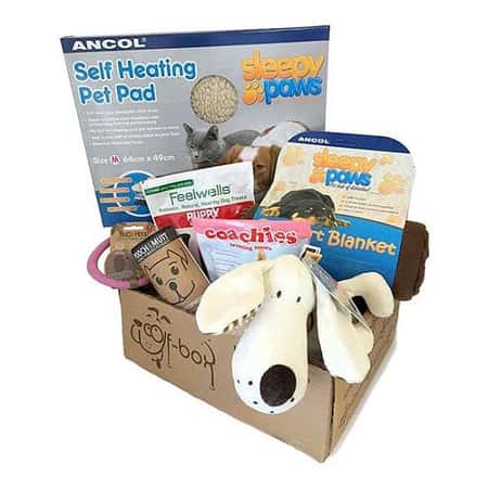 New addition to the family? Treat them to the Puppy Box from just £31.95 – £36.95!