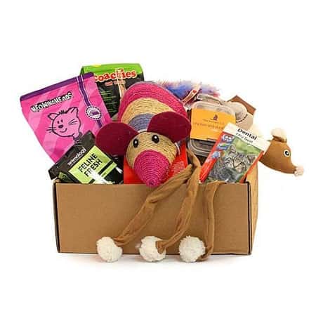 We don't just cater for dogs, treat your kitty to the Cat Gift Box - £19.50!