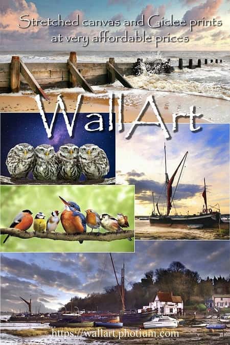 Wallart amazing prices on all products