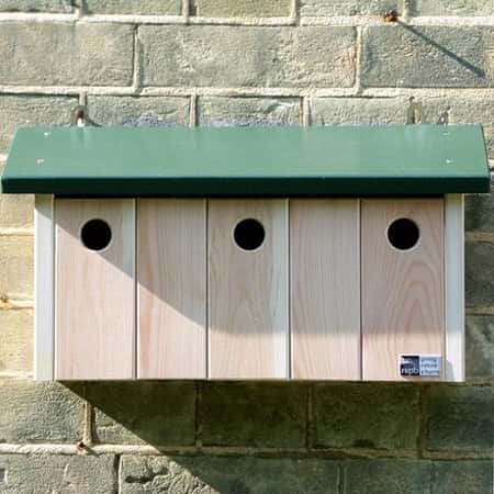 Birdwatching Trend 2021 - RSPB Sparrow Terrace Nest Box