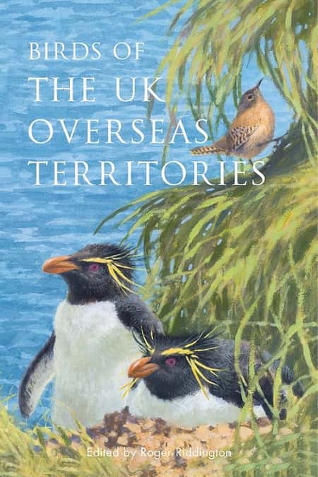 Birdwatching Trend 2021 - Birds of the UK Overseas Territories