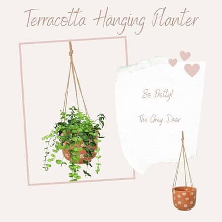 Mother's Day - Terracotta Hanging Planter