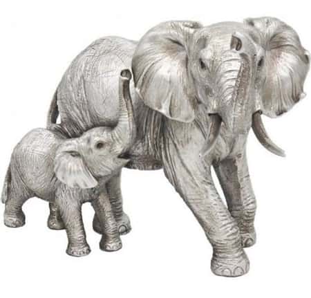 Beautiful elephant mummy and calf
