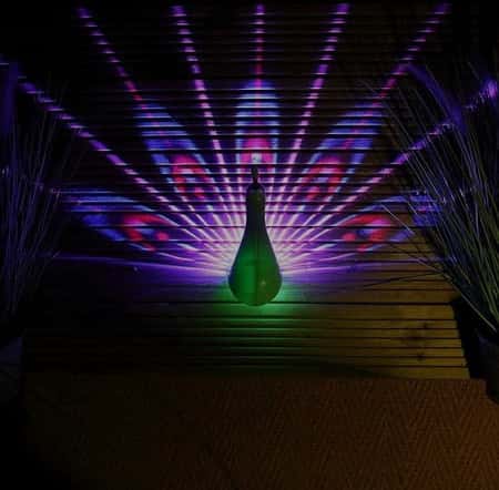 Outdoor Battery Percy Peacock Wall Light