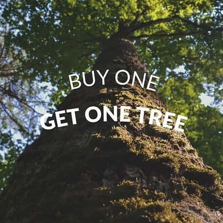 Buy One Get One Tree!