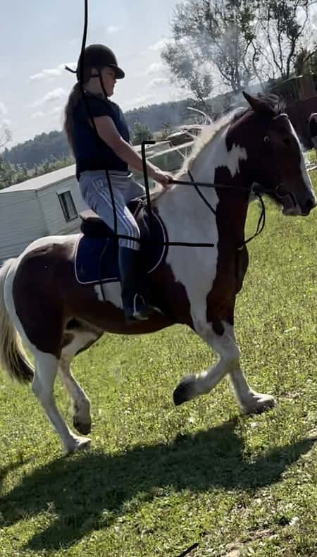 Pony days