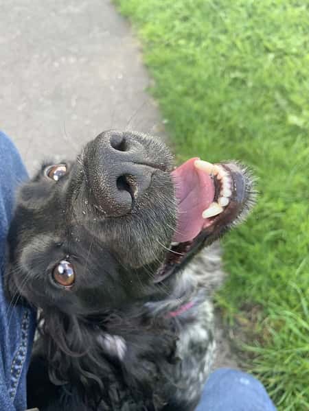 Half price first walk