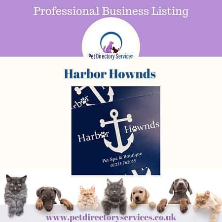 Let's Welcome New Business Member - Harbor Hownds