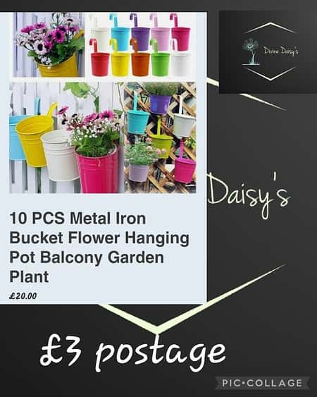 10 PCS Metal Iron Bucket Flower Hanging Pot Balcony Garden Plant 💥£20.00 + £3 postage🚛