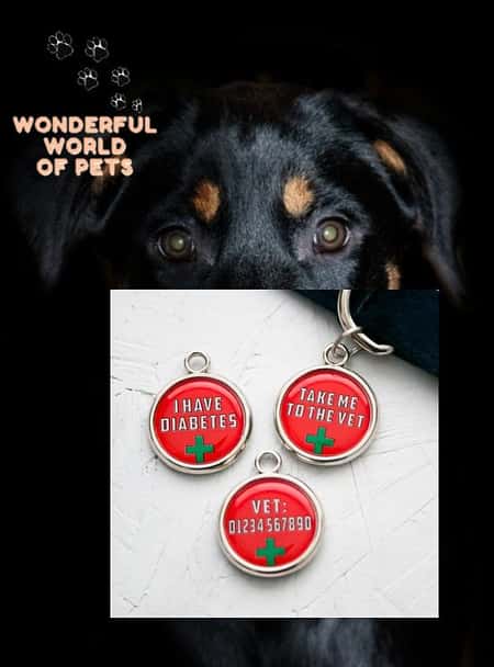 Medical Alert- Double Sided, Pet ID Tag – Choice of Colour and Font