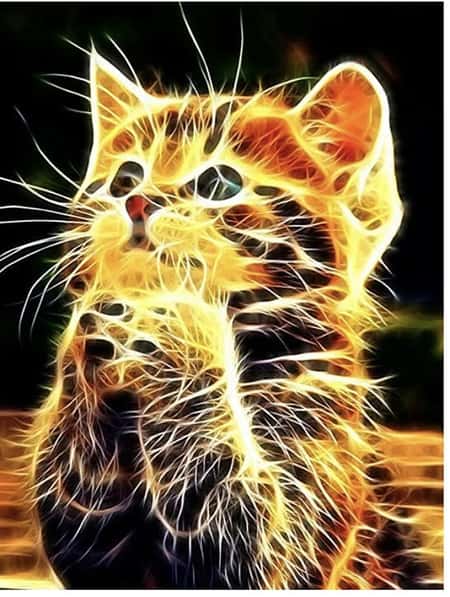 Fire Cat 5D Diamond Art